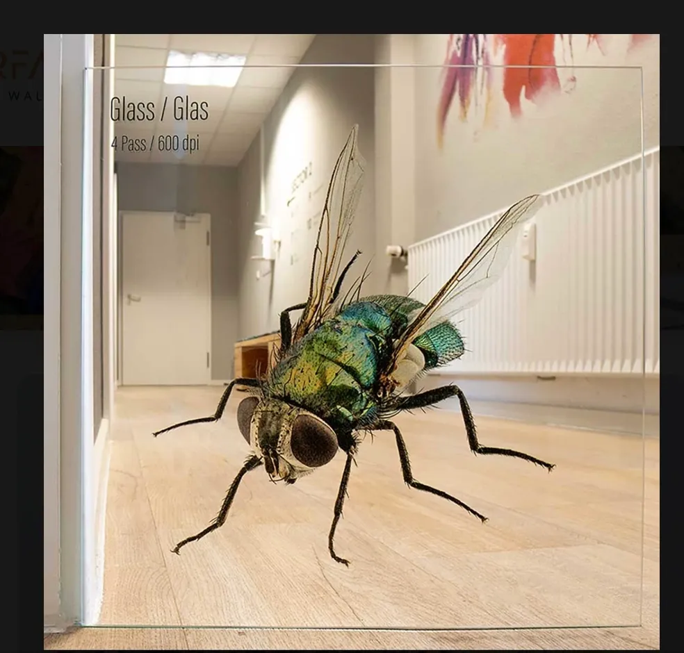 Photorealistic Print on Glass